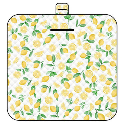 Tapis d'éveil transportable pour le voyage